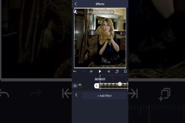 Adding Effects and Visual Enhancements
